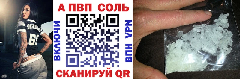 Альфа ПВП СК КРИС Гудермес